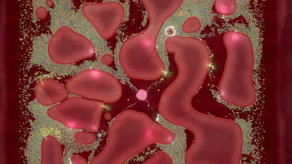 A wide stage where thousands of pathogens swarm between masses of organ tissue